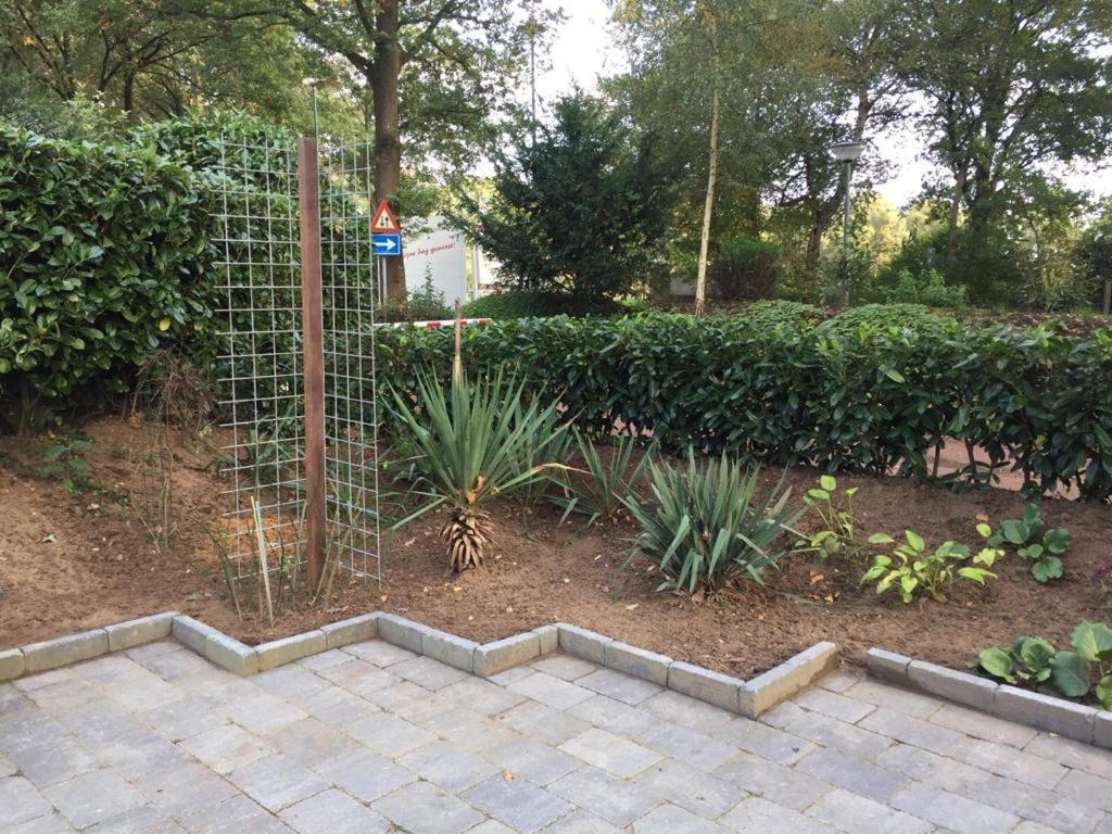 Rumah Kita, Bungalow Met 2 Slaapkamers In Het Mooie Drenthe Erm Extérieur photo